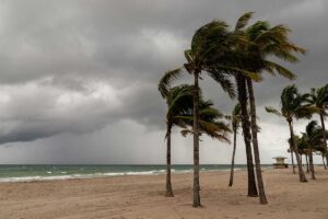 Palm trees bend in strong winds on a sandy beach with rough ocean waves and dark storm clouds overhead.